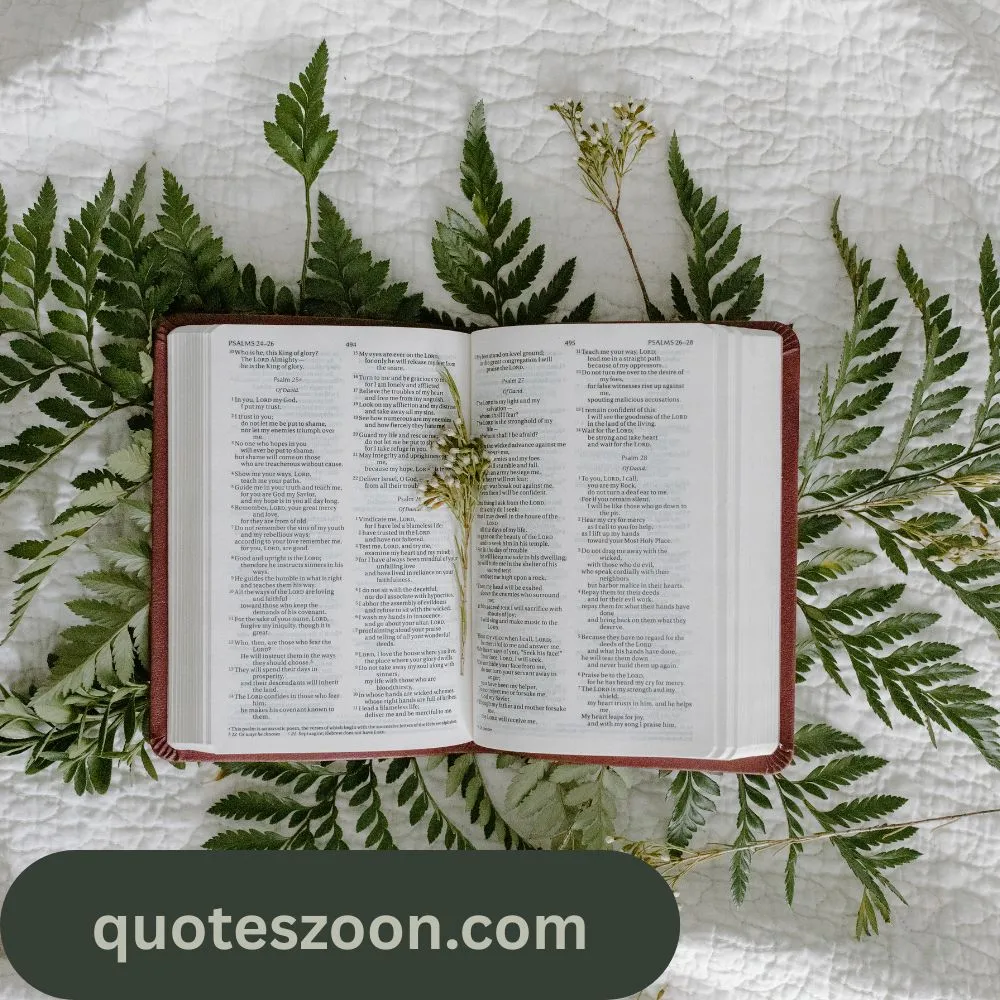 Bible Quotes About the Future