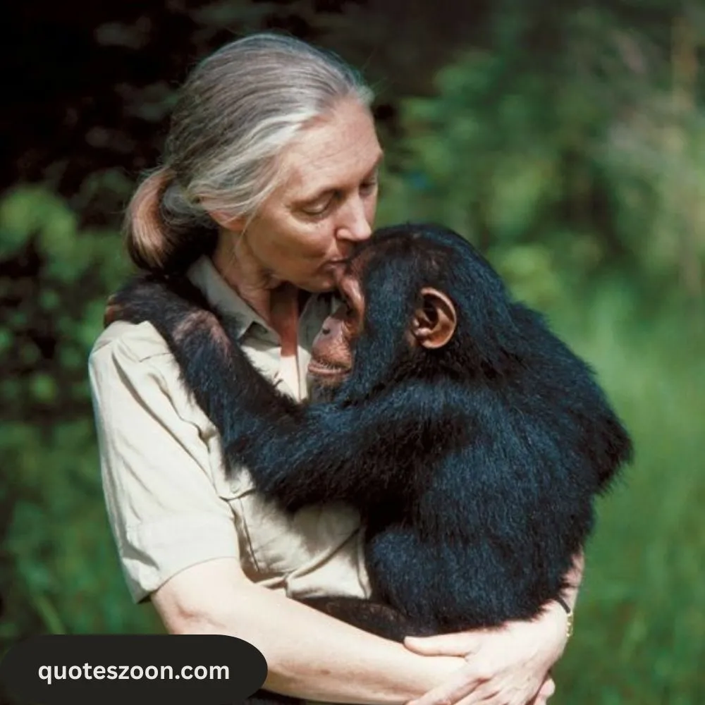Jane Goodall Quotes About Animals