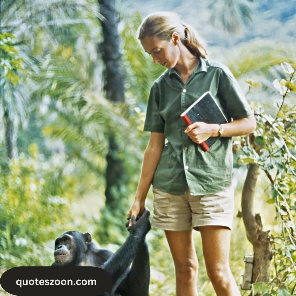 Jane Goodall Quotes Short