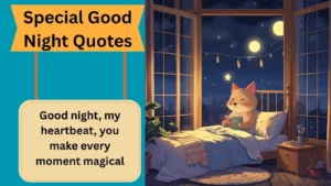 Special Good Night Quotes