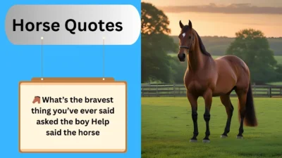 Horse Quotes