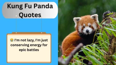 Kung Fu Panda Quotes