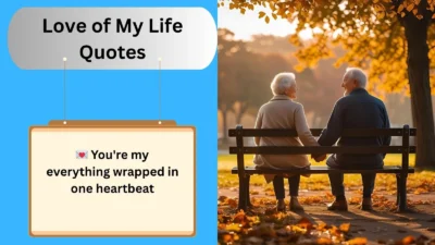 Love of My Life Quotes