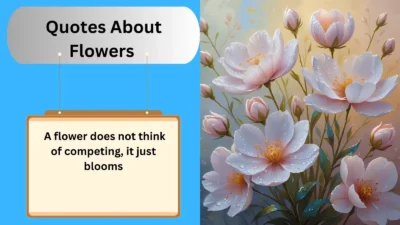 Quotes About Flowers