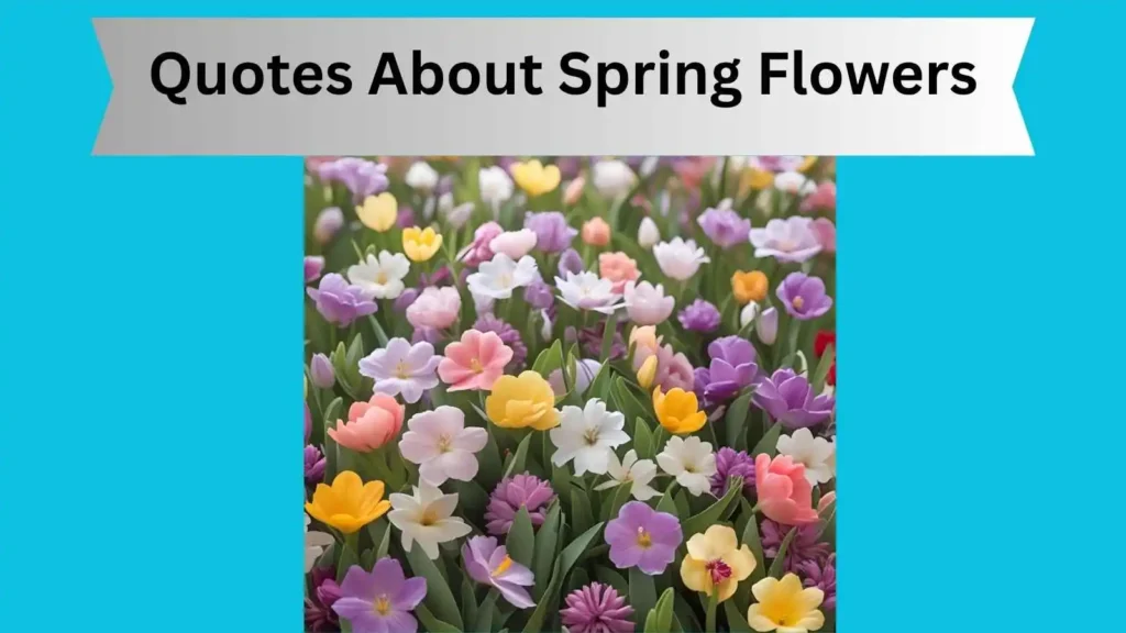 Quotes About Spring Flowers