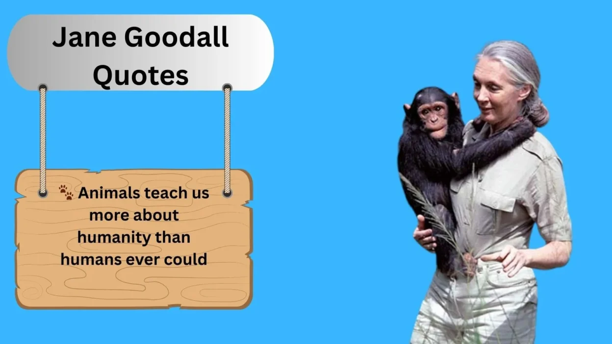 Jane Goodall Quotes