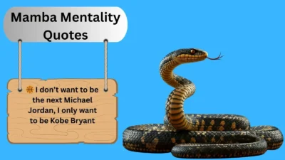 Mamba Mentality Quotes