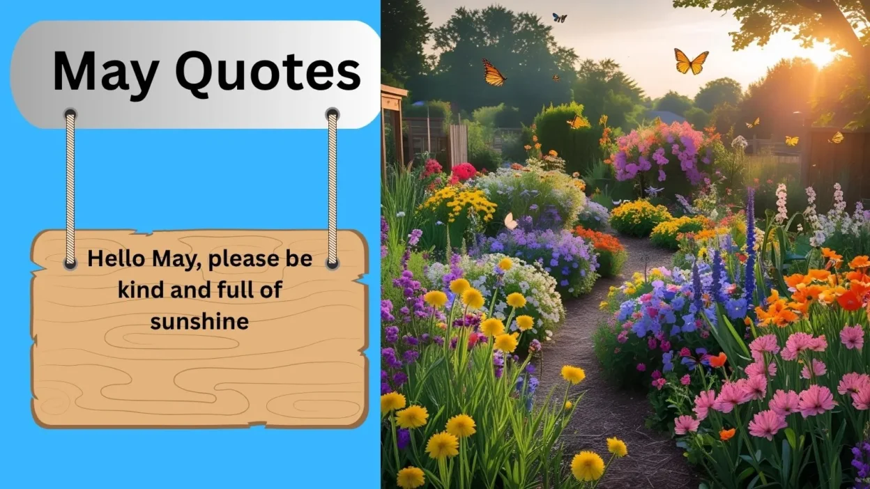 May Quotes
